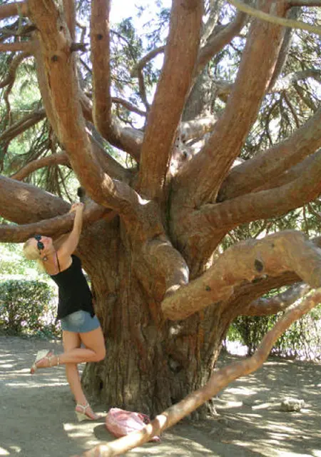 Я Анастасия, 43, из Ярославля, ищу знакомство для приятного времяпровождения