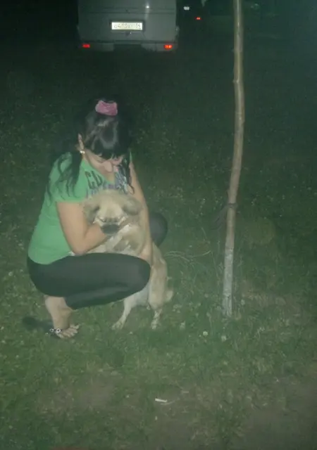 Я Марина, 37, из Волгограда, ищу знакомство для общения