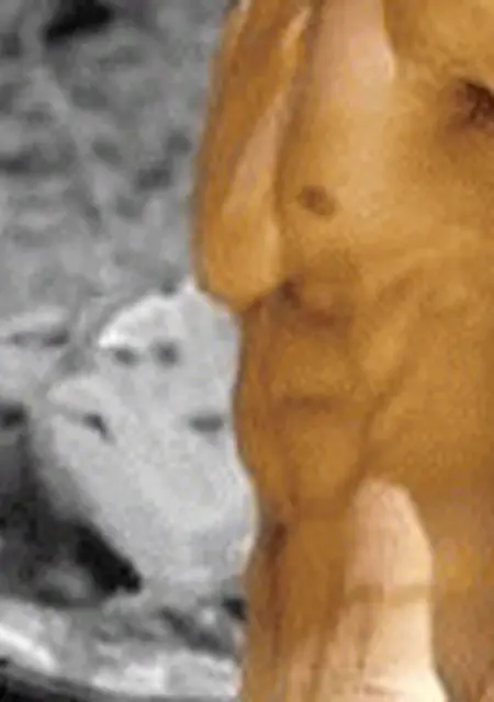 Я Павел, 46, из Минеральных Вод, ищу знакомства без обязательств