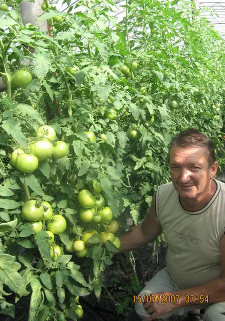 Я Aleks, 64, знакомлюсь без обязательств в Харькове