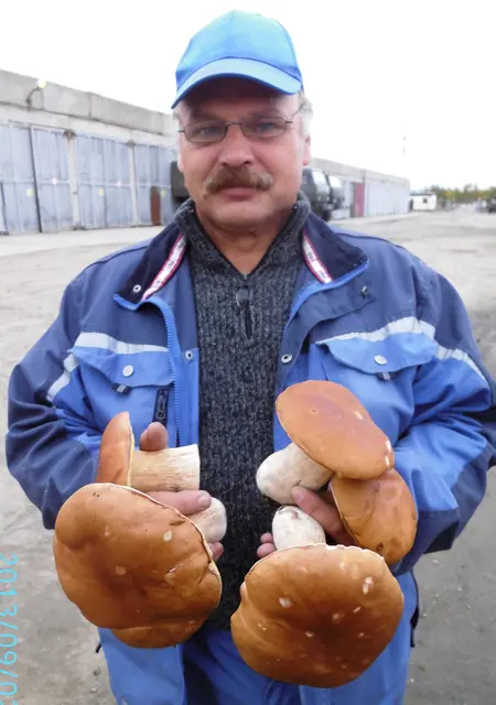 Я Нет, 61, из Воронежа, ищу знакомства без обязательств