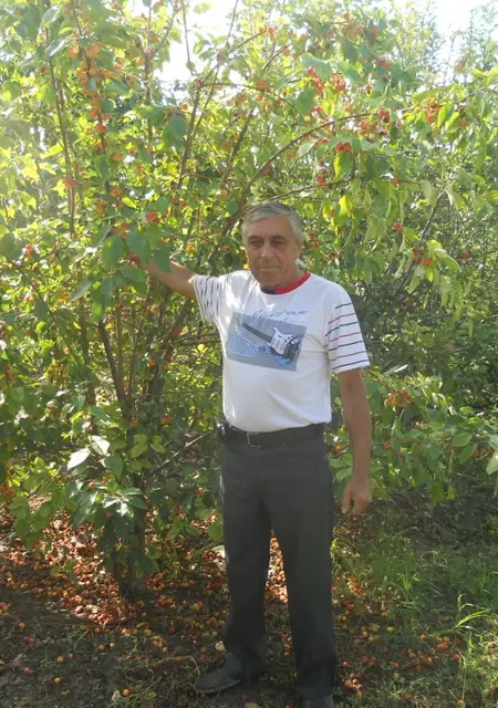 Владимир из Зеленокумска, ищу на сайте знакомства на одну ночь