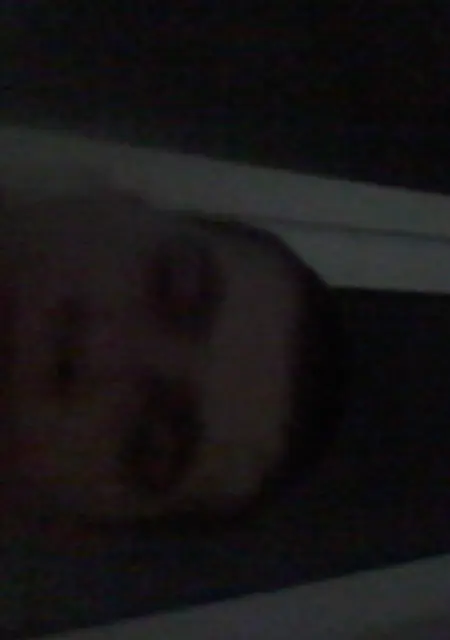 Я Дима, 40, из Анжеро-Судженска, ищу знакомство для приятного времяпровождения