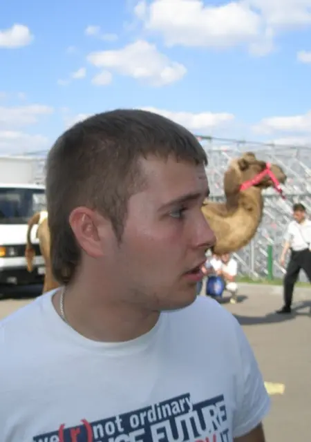 Я Наиль, 37, знакомлюсь без обязательств в Мытищах