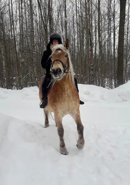 Я Михаил, 34, из Бора, ищу знакомства без обязательств
