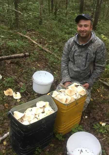 Я Роман, 32, знакомлюсь для постоянных отношений в Котласе