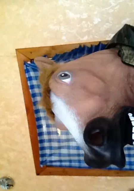 Я Евгений, 42, из Россоши, ищу знакомство для постоянных отношений