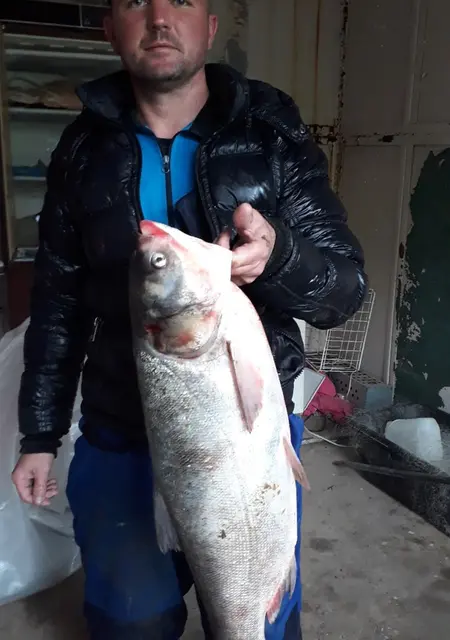 Денис из Миллерова, мне 25, познакомлюсь для вирта