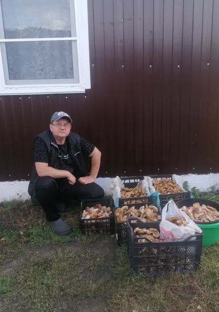 Сергей из Кемерово, мне 44, познакомлюсь для приятного времяпровождения