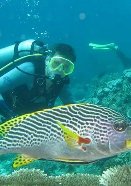 Лев из Красноярска, ищу на сайте знакомства на одну ночь