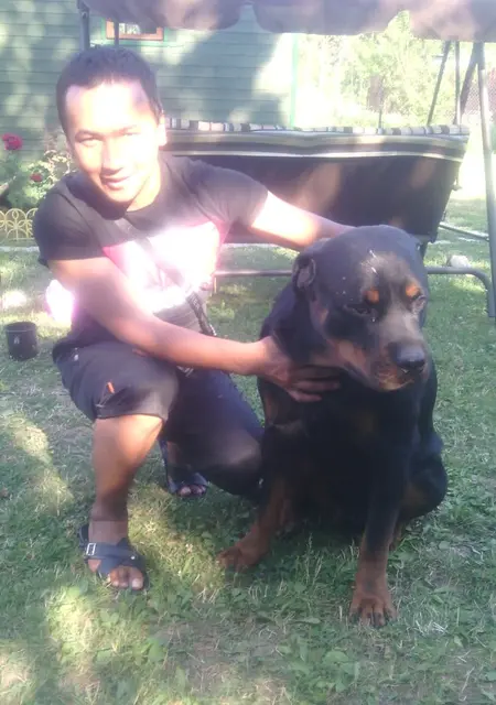 Я Алекс, 31, из Боровска, ищу знакомства без обязательств