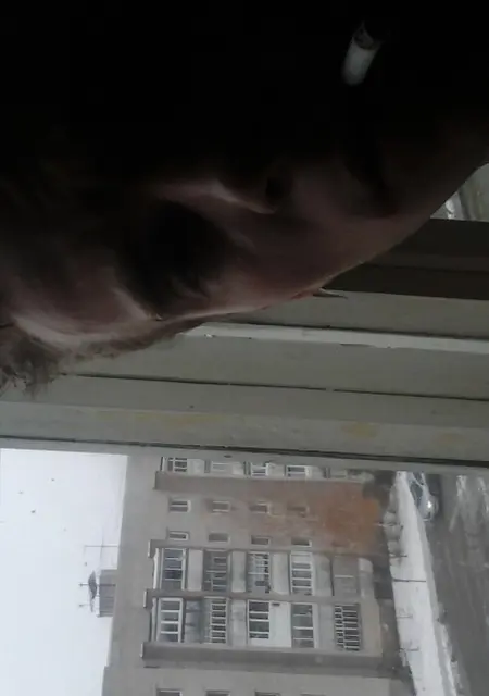 Я Денис, 31, из Тотьмы, ищу знакомства на одну ночь