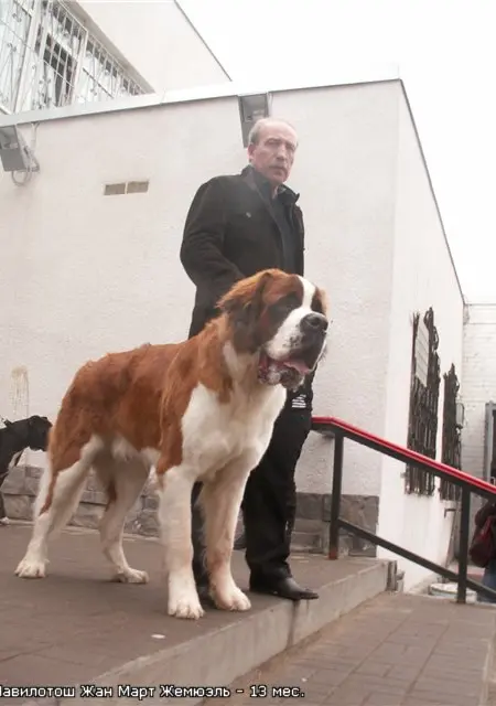 Я Иван, 68, знакомлюсь без обязательств в Санкт-Петербурге