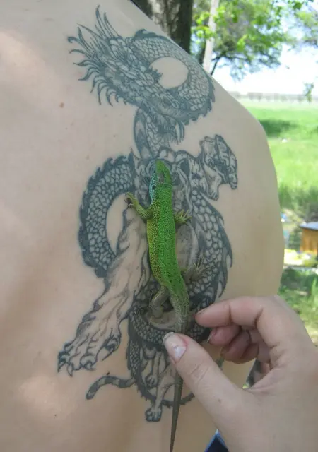 Я Николай, 34, из Кишинёва, ищу знакомства без обязательств