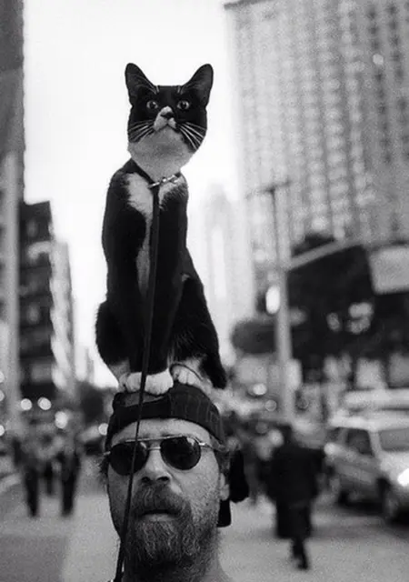 Я Klin, 42, знакомлюсь для приятного времяпровождения в Ноябрьске