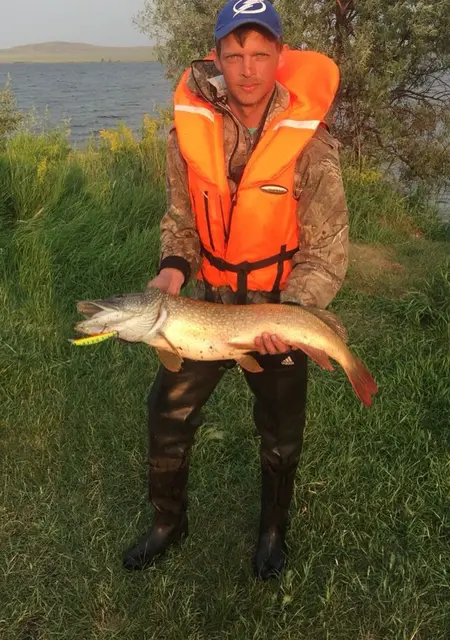 Я Андрей, 38, из Риддера, ищу знакомства на одну ночь