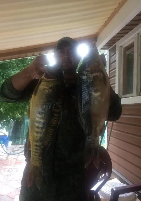 Я Эрик, 45, из Обнинска, ищу знакомства без обязательств