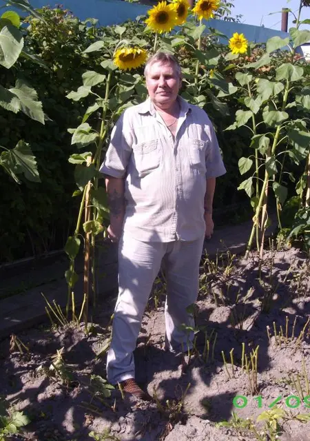 Я Валерий, 66, знакомлюсь для постоянных отношений в Томске