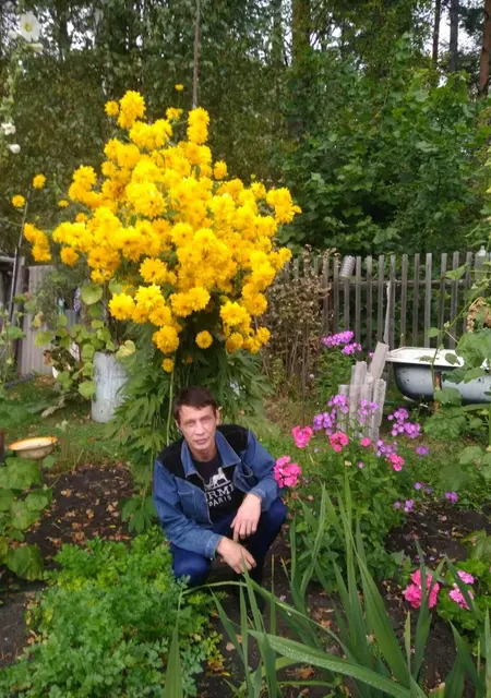 Aleks из Усть-Илимска, ищу на сайте знакомства на одну ночь