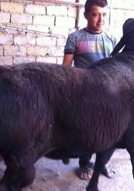 Я Пара, 32, знакомлюсь для дружбы в Волгодонске