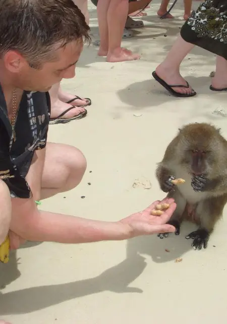 Я Андрей, 53, из Нижневартовска, ищу знакомство для общения