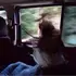 Мила из Махачкалы, ищу на сайте постоянные отношения